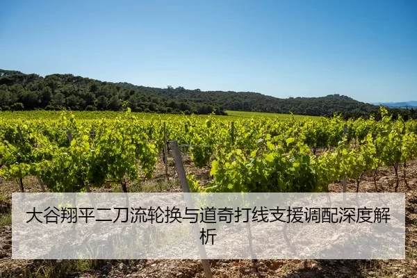 大谷翔平二刀流轮换与道奇打线支援调配深度解析