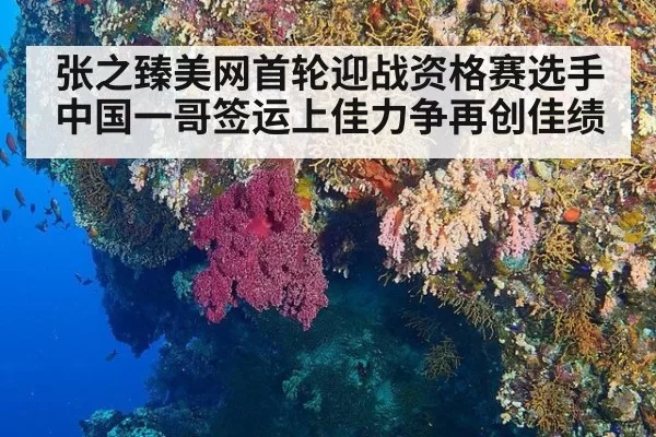 张之臻美网首轮迎战资格赛选手 中国一哥签运上佳力争再创佳绩