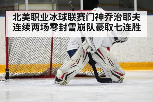 hockey defender blocking shot